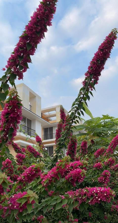 Royal Meadows - Igatpuri Bungalow C المظهر الخارجي الصورة