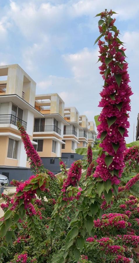 Royal Meadows - Igatpuri Bungalow C المظهر الخارجي الصورة