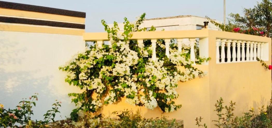 Royal Meadows - Igatpuri Bungalow C المظهر الخارجي الصورة