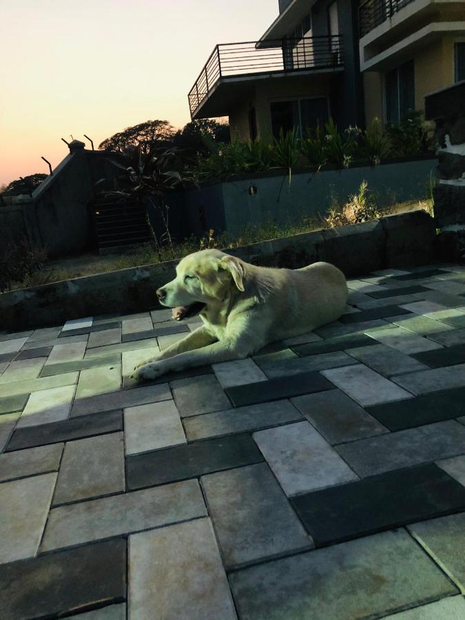 Royal Meadows - Igatpuri Bungalow C المظهر الخارجي الصورة